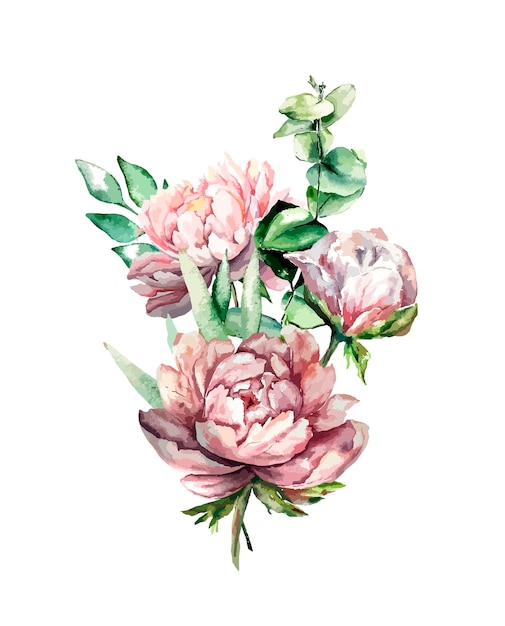 Illustration florale botanique aquarelle plantes de jardin de printemps fleurs sur fond blanc pivoine euca