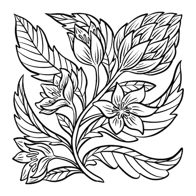 Vecteur illustration florale dessinée à la main
