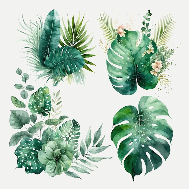 Illustration florale tropicale aquarelle sertie de feuilles vertes Modèle d'éléments décoratifs Illustration de dessin animé plat isolé sur fond blanc