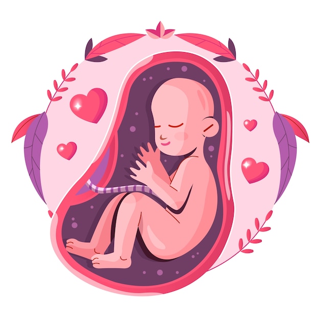 Illustration de fœtus design plat