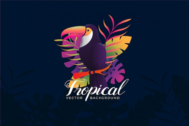 Vecteur illustration de fond avec le thème toucan tropical