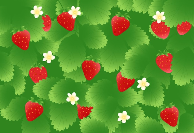 Illustration De Fraise Pour Le Fond