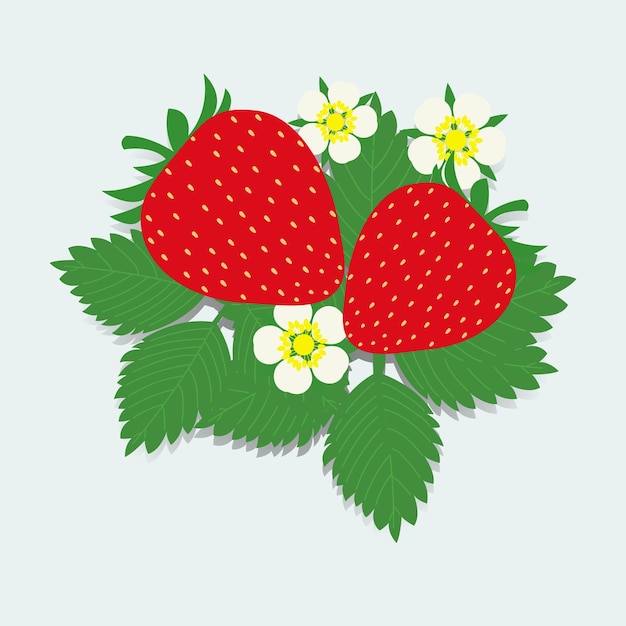 Illustration de fraise