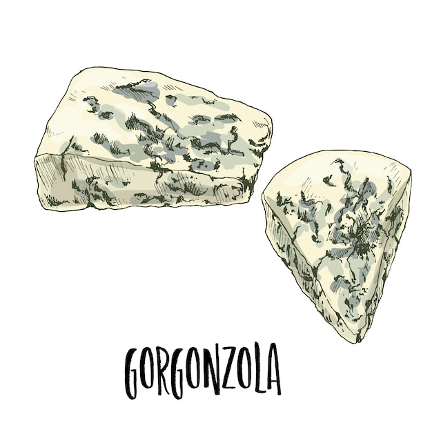 Illustration De Fromage Gorgonzola Dessiné à La Main