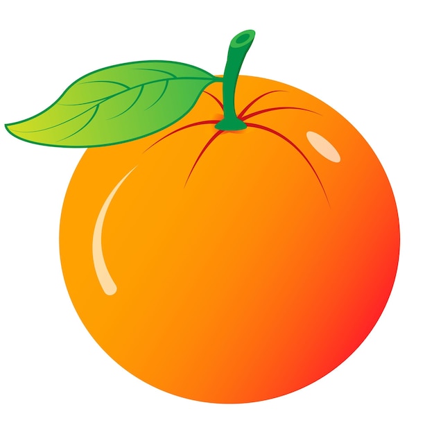 Vecteur illustration d'un fruit orange