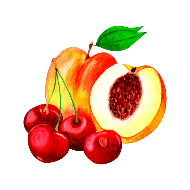 Illustration De Fruits à L'aquarelle Avec Des Pêches Mûres Et Des Cerises Rouges