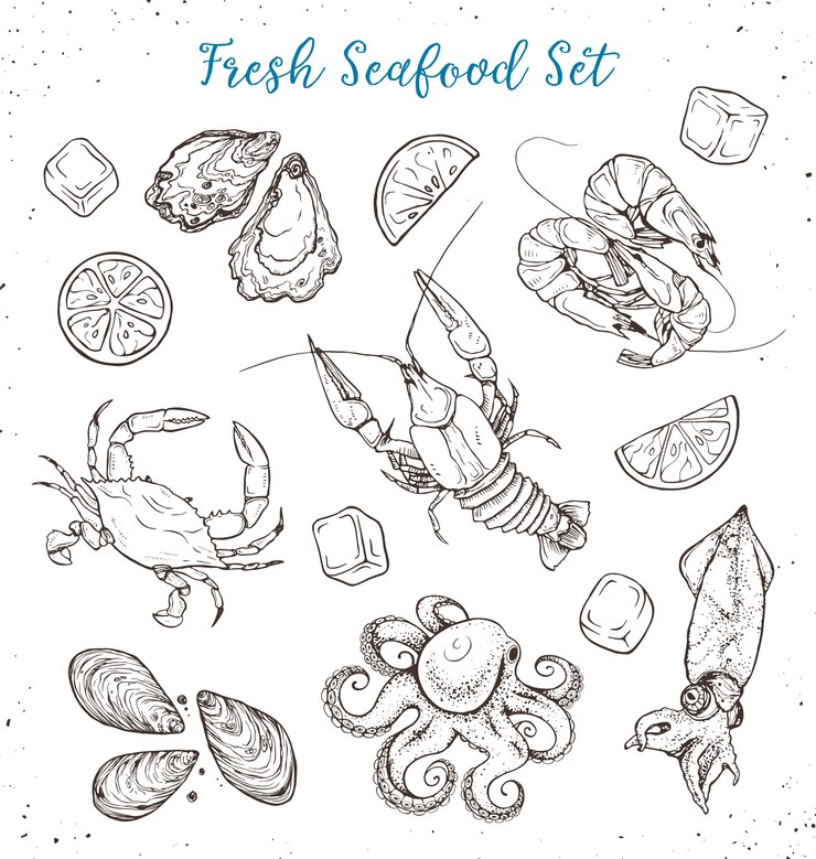 Illustration de fruits de mer