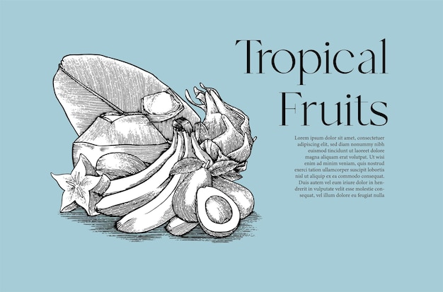 Vecteur illustration de fruits tropicaux avec style d'illustration de gravure pour affiche et à toutes fins