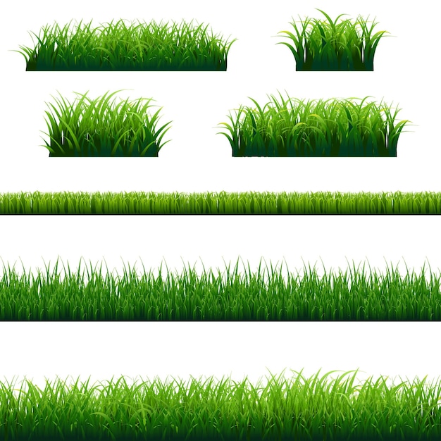 Illustration De Grand Cadre Herbe Verte