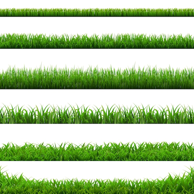 Vecteur illustration de grandes frontières de l'herbe verte