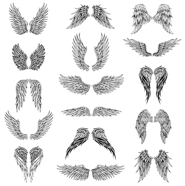Illustration graphique des ailes