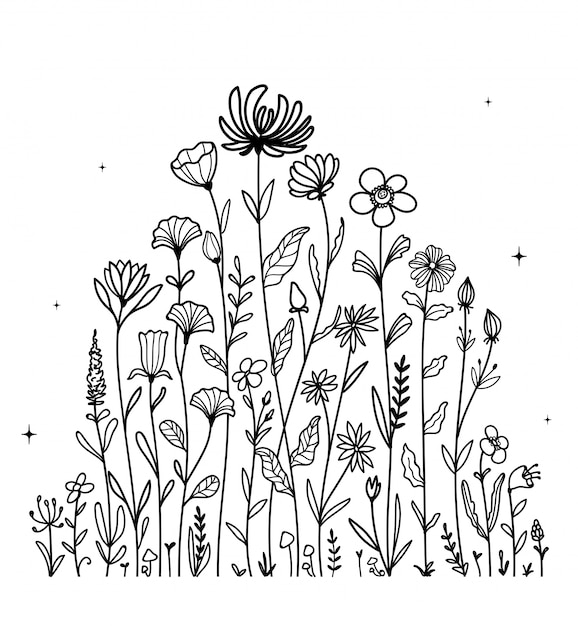 Vecteur illustration graphique de dessin au trait fleur