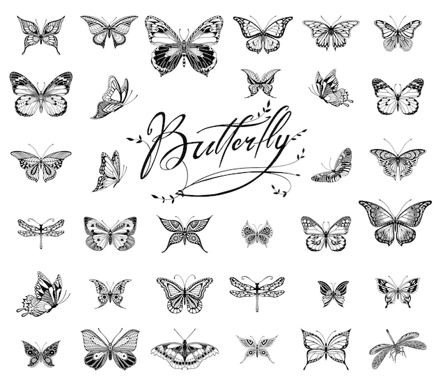 Illustration Graphique De Papillons