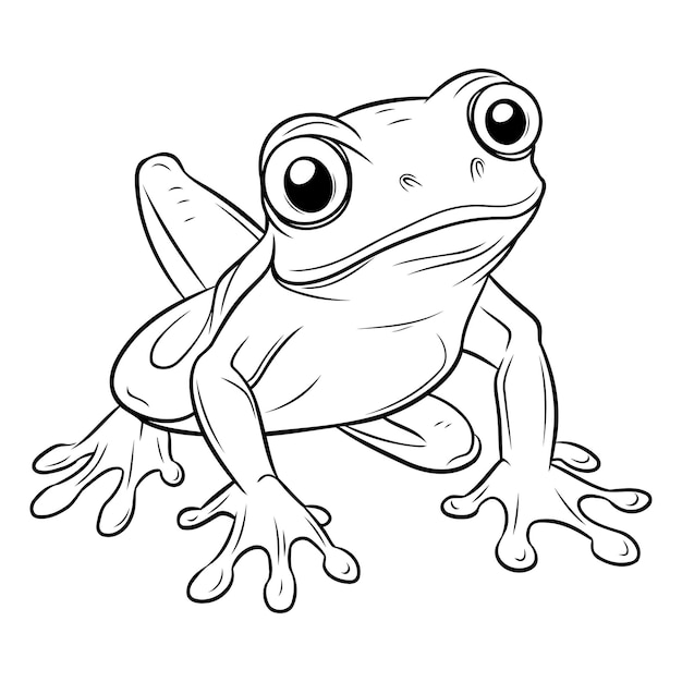 Illustration D'une Grenouille De Dessin Animé Sur Un Livre De Coloriage à Fond Blanc