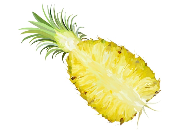 Illustration de grosse tranche d'ananas