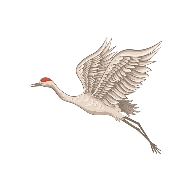 Vecteur illustration d'une grue à couronne rouge en vol, vue latérale, oiseau sauvage à grands ailes, long bec, pattes et cou elément graphique pour livre design vectoriel plat isolé sur fond blanc