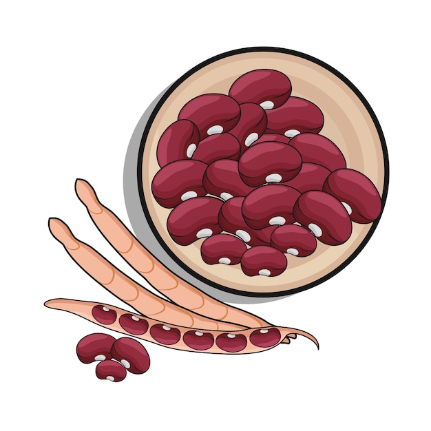 Vecteur illustration d'un haricot rouge