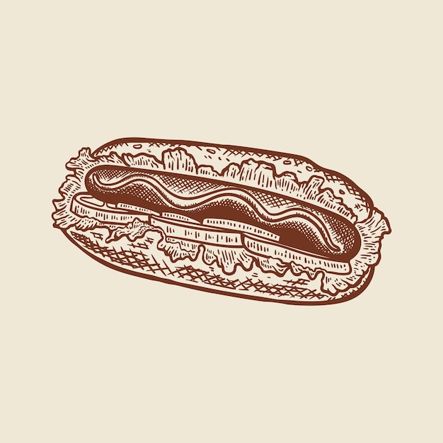 Vecteur illustration de hot-dog dessiné à la main de style vintage