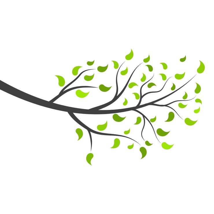 Vecteur illustration de l'icône vectorielle du modèle de logo de soins des pieds