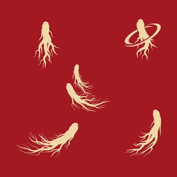 Vecteur illustration d'icône vectorielle de ginseng
