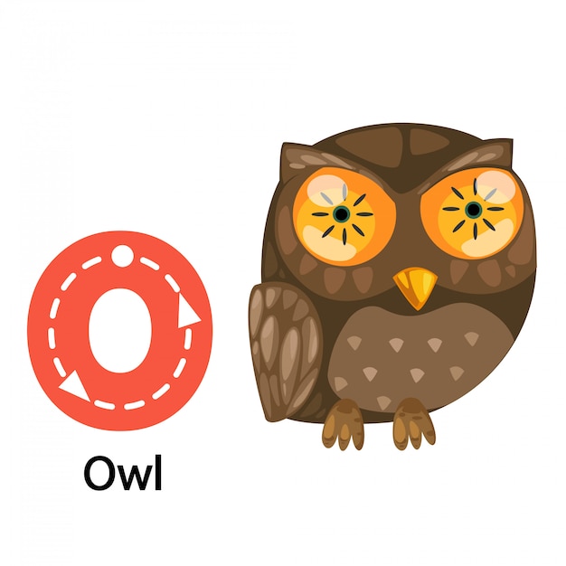 Illustration Isolée Lettre Alphabet O-owl