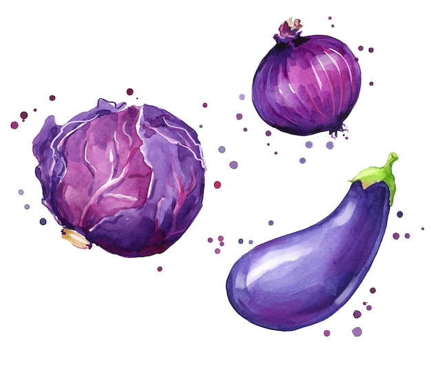 Illustration de légumes à l'aquarelle de chou rouge, d'oignon et d'aubergine