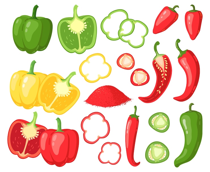 Vecteur illustration de légumes de la ferme juteuse
