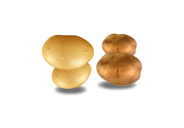 Illustration De Légumes De Pommes De Terre Vecteur Gratuite