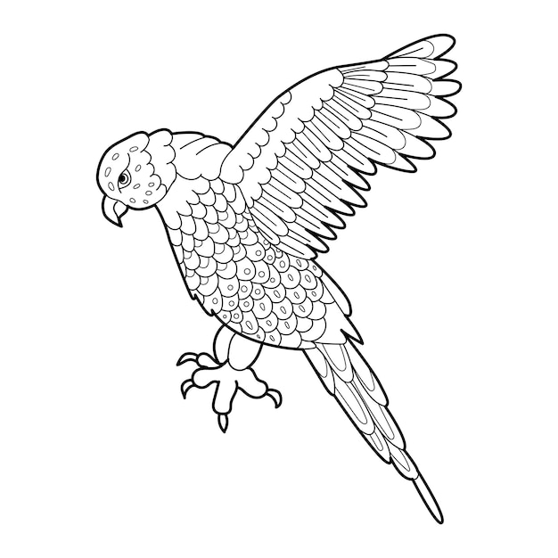 Illustration Linéaire De Contour Pour Livre De Coloriage Avec Perroquet Décoratif Belle Image Anti-stress D'oiseau Conception D'art En Ligne Pour Adultes Ou Enfants En Tatoo De Style Zentangle Et Coloriage