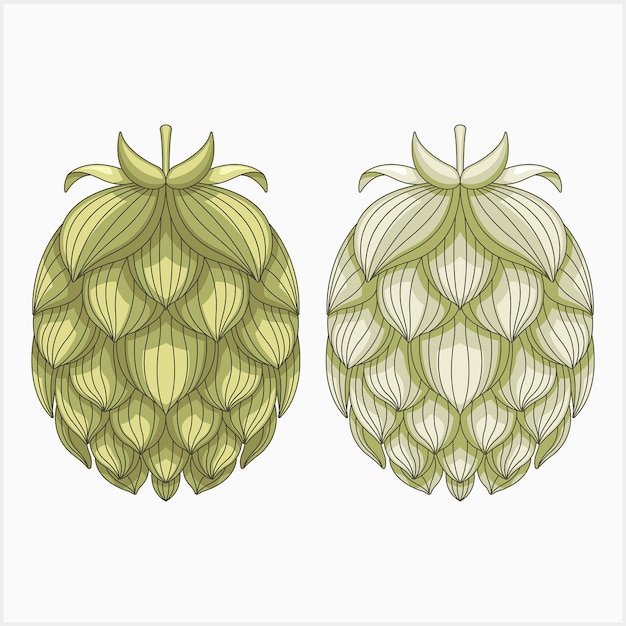 Illustration De Malt De Bière