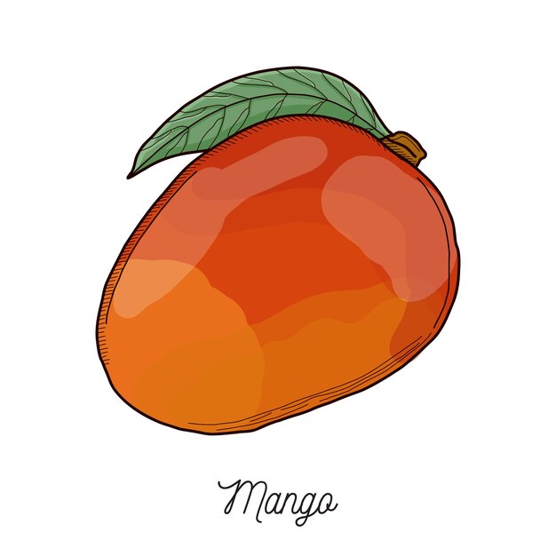 Illustration de mangue dessinée à la main