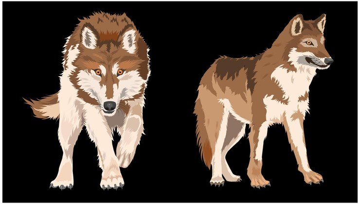 Vecteur illustration de mascotte de personnage de chien loup