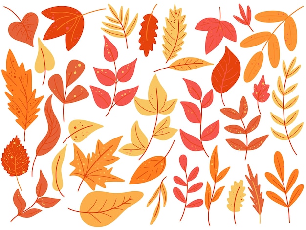 Illustration mettant en vedette des feuilles d'automne colorées dans des tons orange et jaune idéales pour les dessins d'hiver