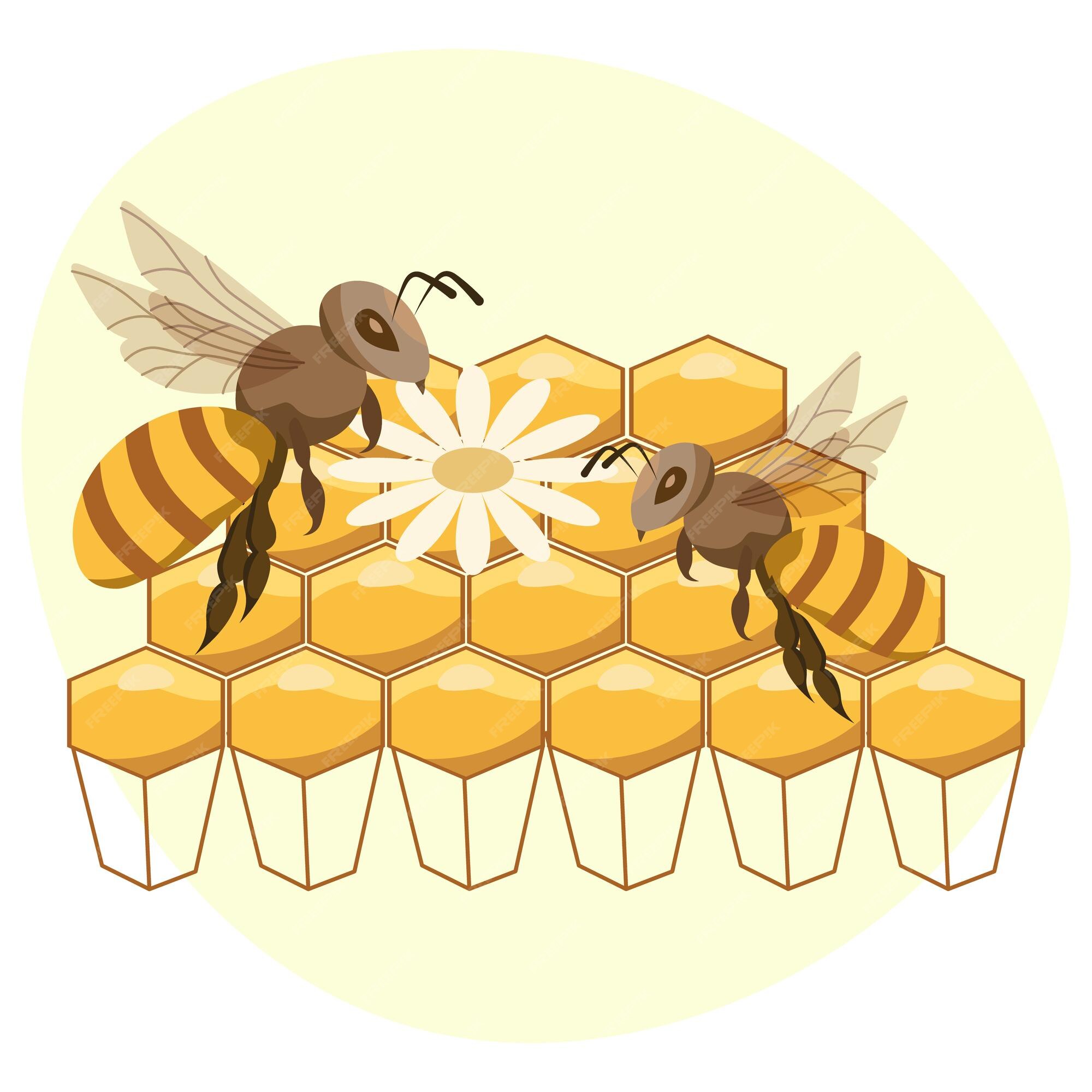Dessin De Ruche D abeille En Couleur