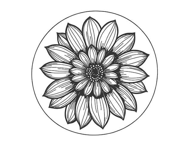 Illustration D'un Motif Circulaire En Forme De Fleur