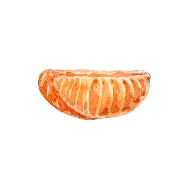 Illustration de Noël à l'aquarelle d'une tranche de mandarine isolée sur fond blanc.