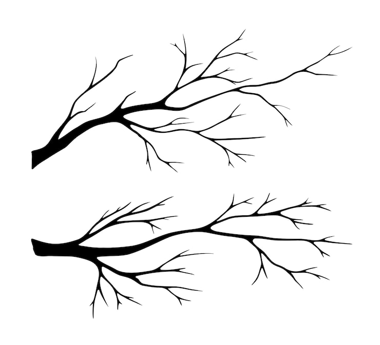 Vecteur illustration en noir et blanc d'un ensemble de branches d'arbres sèches et nues un élément de conception dessiné à la main