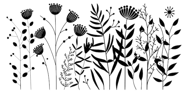 Une Illustration En Noir Et Blanc De Fleurs Et De Plantes.