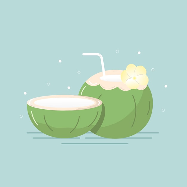 Illustration Noix De Coco Vecteur De Fond Isolé