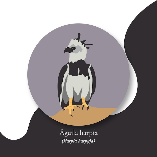 Illustration d'oiseau Aigle harpie Oiseau national du Panama