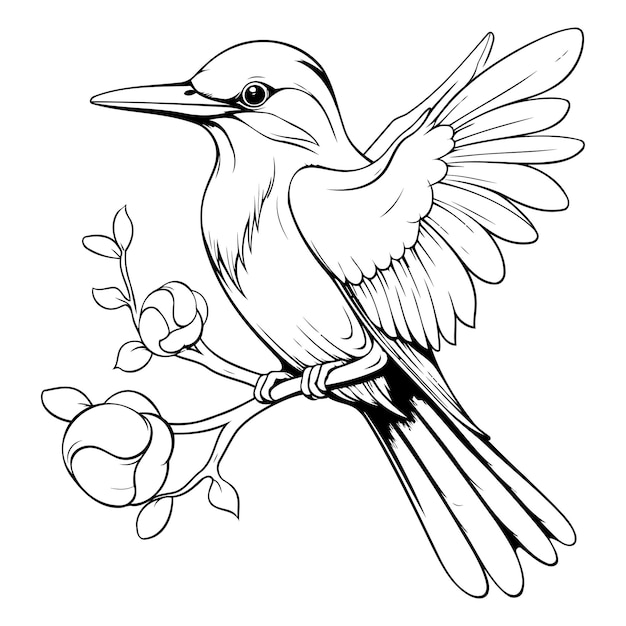 Illustration D'un Oiseau Sur Une Branche Avec Une Fleur Dans Son Bec