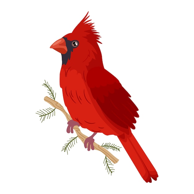 Illustration D'oiseau Cardinal Plat Dessiné à La Main