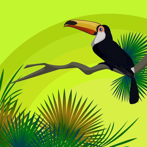 Vecteur illustration oiseau tropical toukan exotix