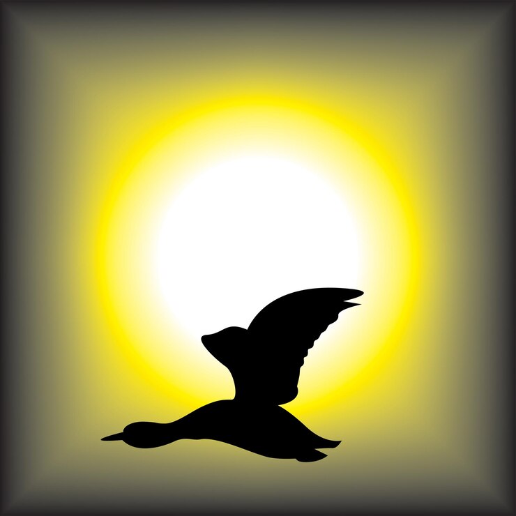 Vecteur illustration d'un oiseau