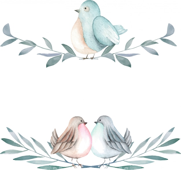 Illustration d'oiseaux mignons aquarelles sur les branches