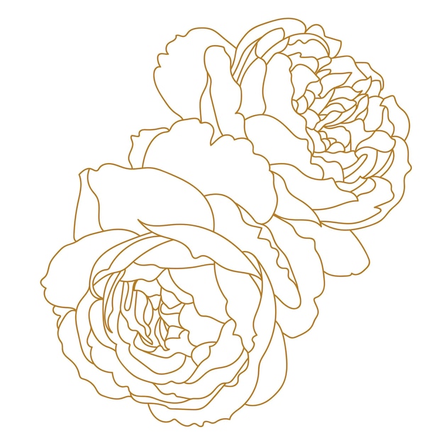 Vecteur illustration d'or de fleur isolé sur fond blanc vector