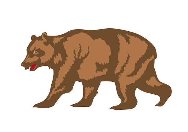 Vecteur illustration de l'ours brun