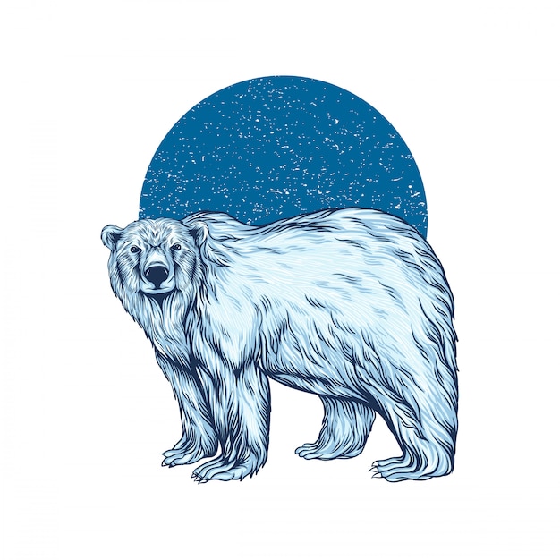 Vecteur illustration de l'ours polaire