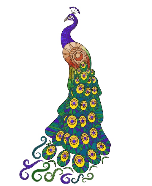 Illustration de paon coloré. Queue de paon décorative