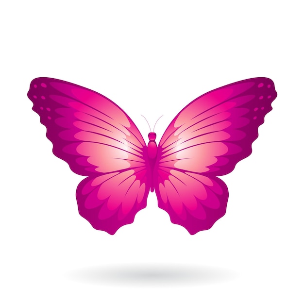 Vecteur illustration de papillon magenta avec des ailes rondes